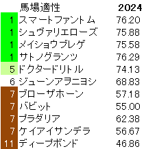 2024　京都大賞典　馬場適性指数